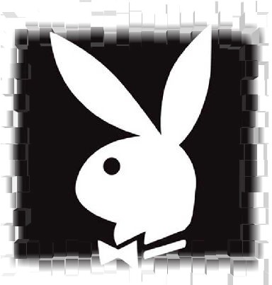 playboy